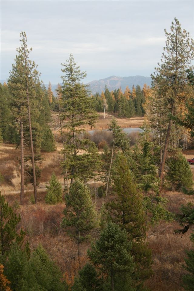 0 Little Sweden Road, Unit LOT 1 Valley, WA 99181 - Photo 1 of 13 Gallery Image 1
