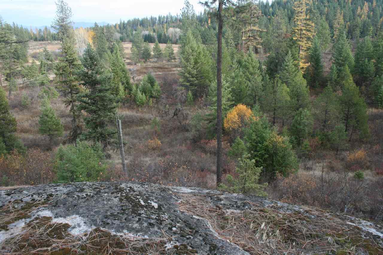 0 Little Sweden Road, Unit LOT 1 Valley, WA 99181 - Photo 12 of 13 Gallery Image 12