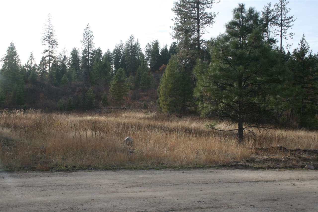 0 Little Sweden Road, Unit LOT 1 Valley, WA 99181 - Photo 2 of 13 Gallery Image 2
