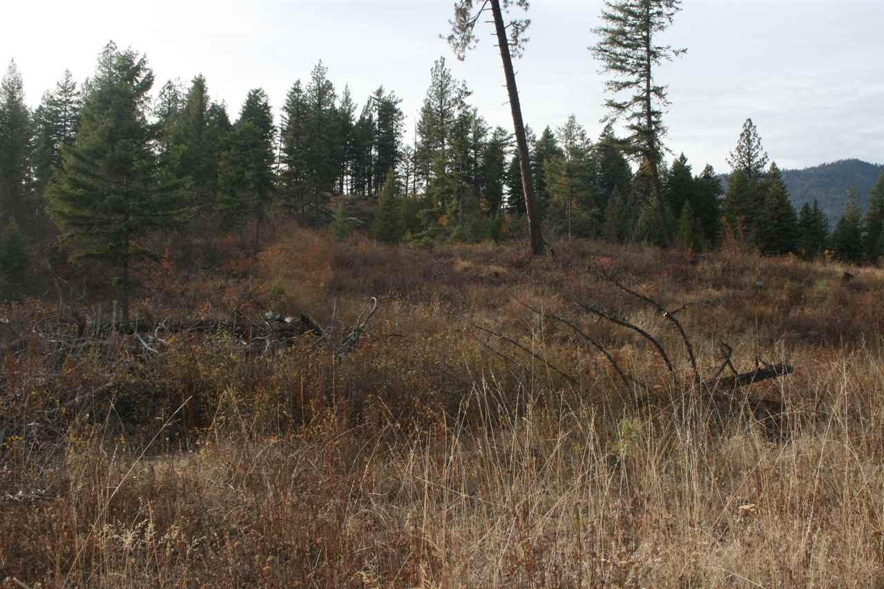 0 Little Sweden Road, Unit LOT 1 Valley, WA 99181 - Photo 3 of 13 Gallery Image 3