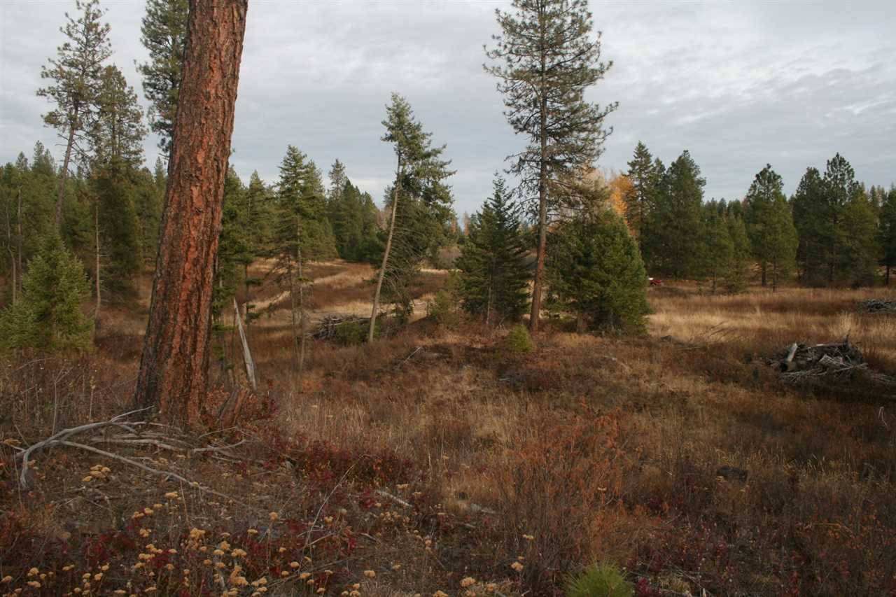 0 Little Sweden Road, Unit LOT 1 Valley, WA 99181 - Photo 5 of 13 Gallery Image 5