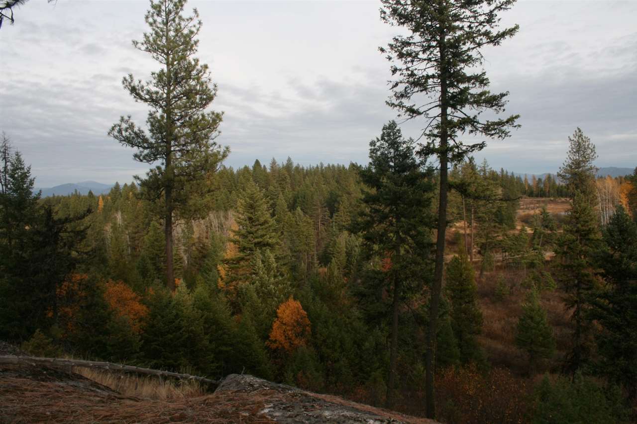 0 Little Sweden Road, Unit LOT 1 Valley, WA 99181 - Photo 9 of 13 Gallery Image 9