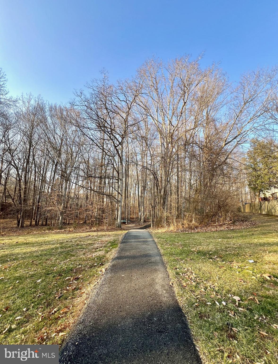 8679 Hickory Ridge Court Springfield, VA 22153 - Photo 18 of 23 a view of a yard with an outdoor space