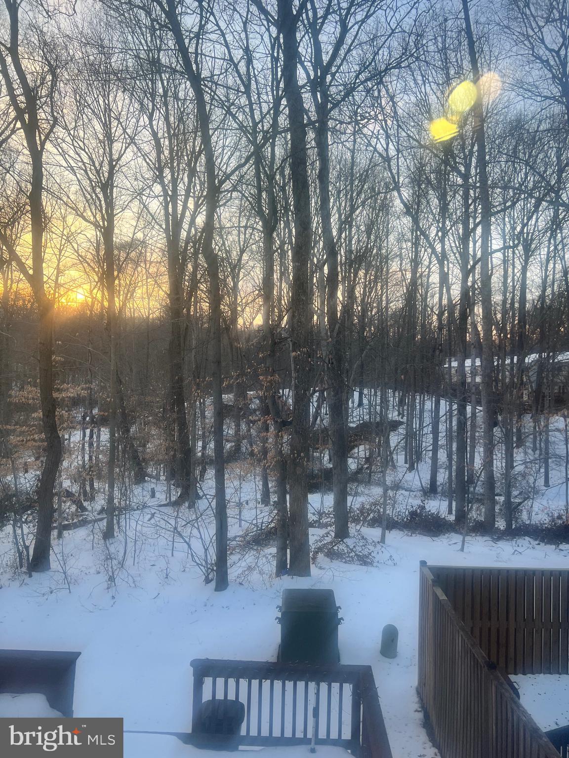 8679 Hickory Ridge Court Springfield, VA 22153 - Photo 21 of 23