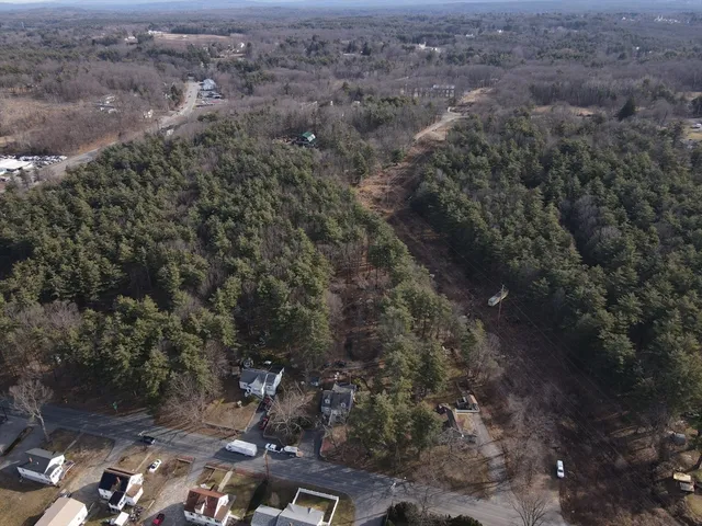 a view of a city with lots of trees