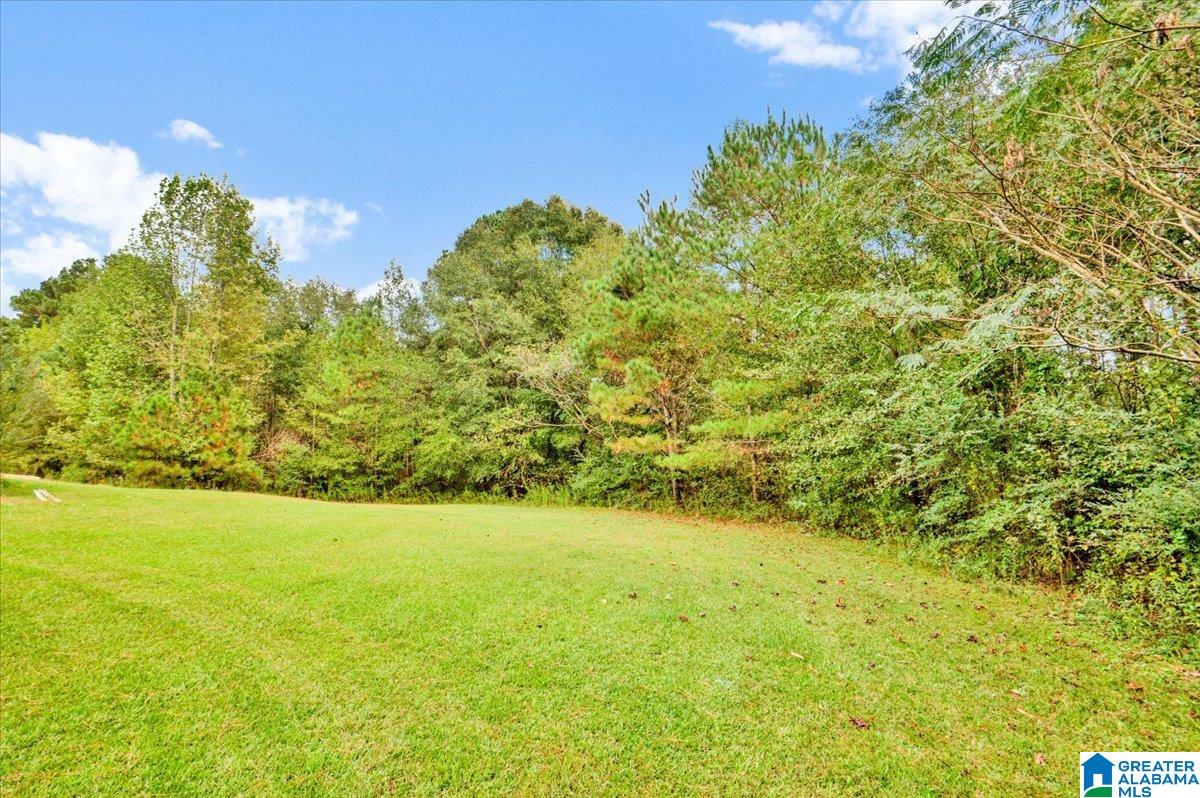 220 Burgett Road Oneonta, AL 35121 - Photo 21 of 21