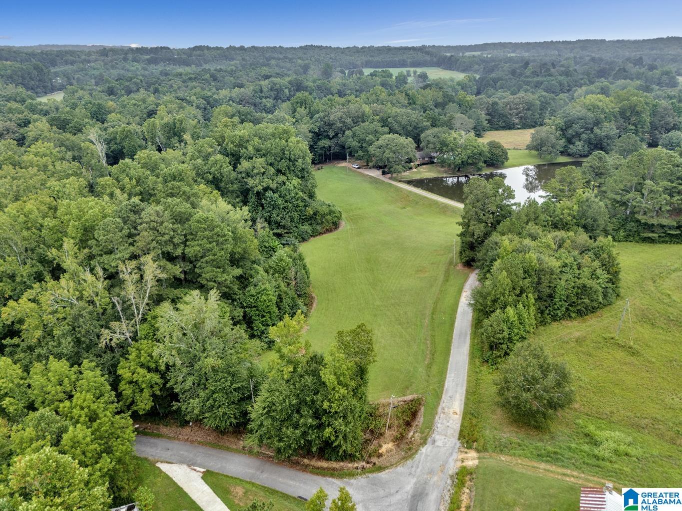 1695 Kent Road Oneonta, AL 35121 - Photo 26 of 70