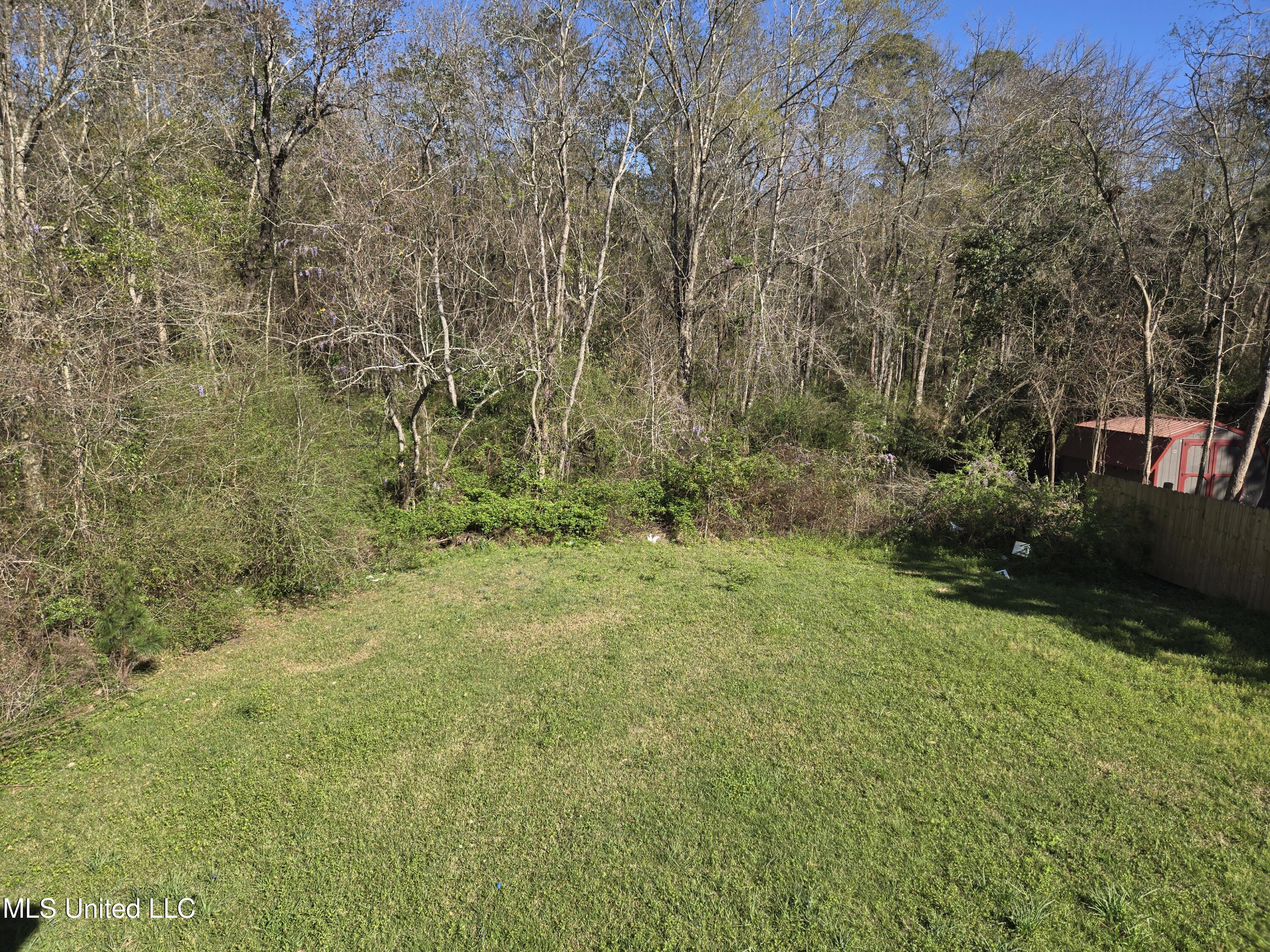 1704 Adcox Road Picayune, MS 39466 - Photo 19 of 19 Backyard