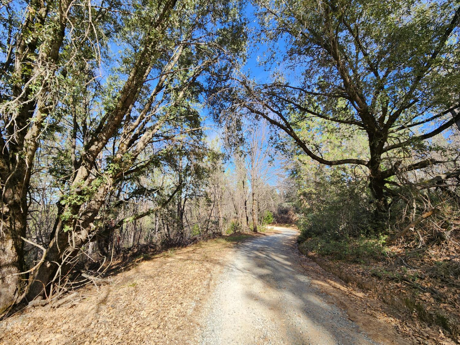 0 Old School House Road Somerset, CA 95684 - Photo 3 of 5