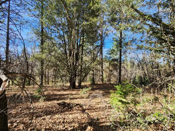 a view of outdoor space with lots of trees