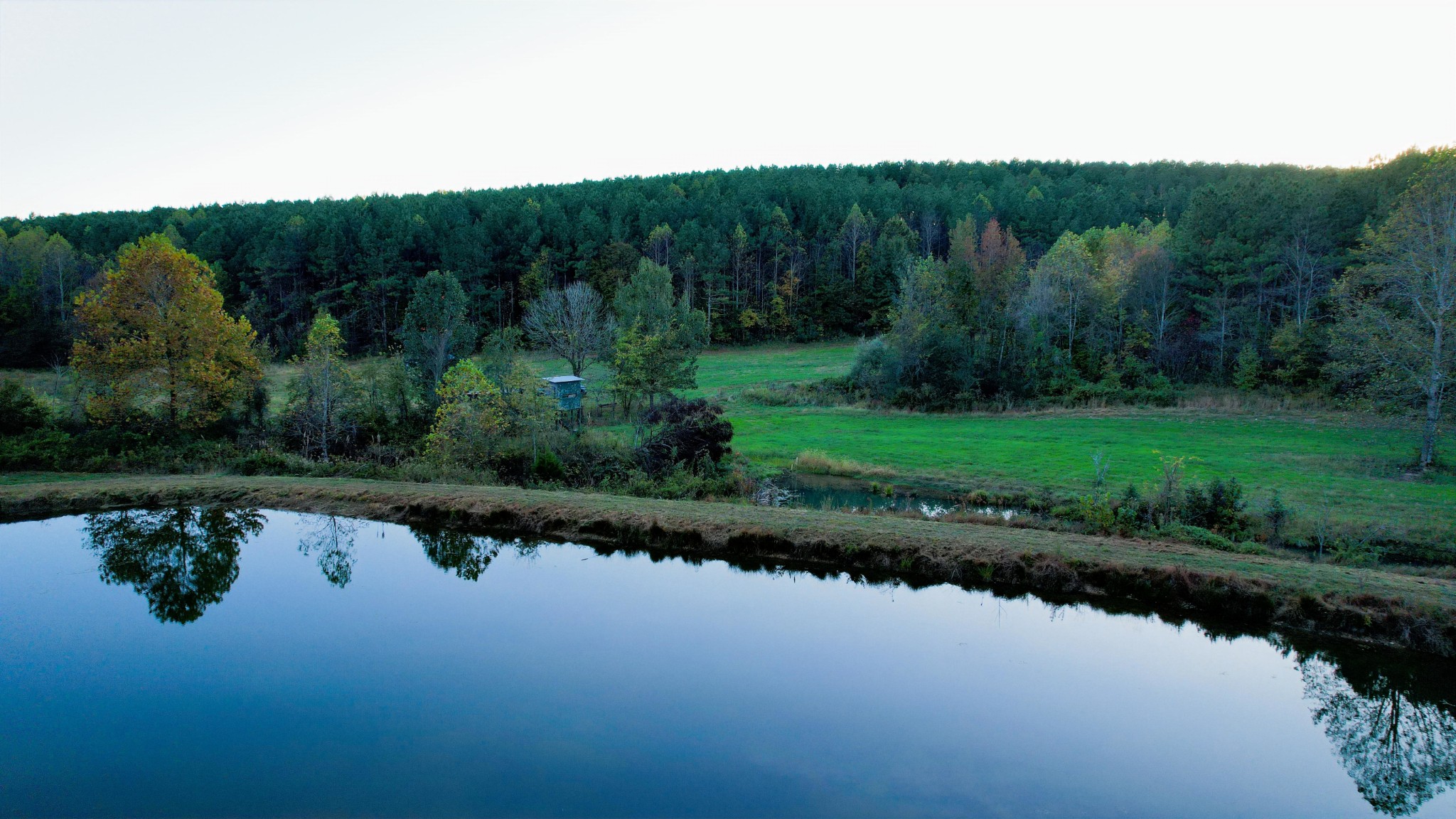 a view of a lake in middle of forest