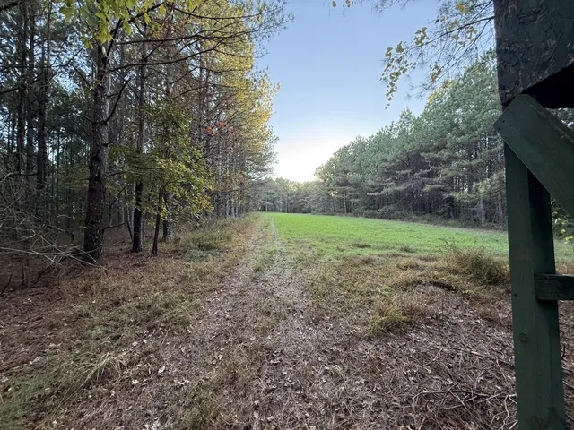 a view of lake with green space