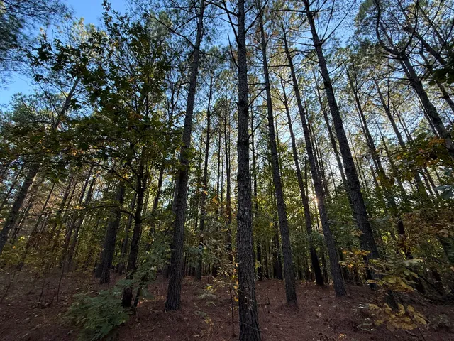 a view of a balcony with lake view and wooden floor