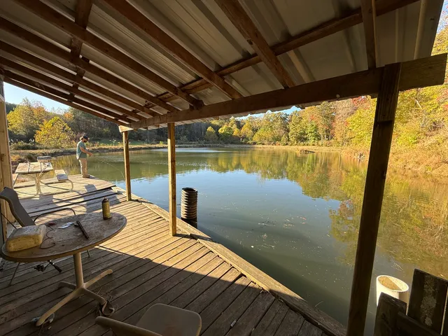 a view of a lake with a tree