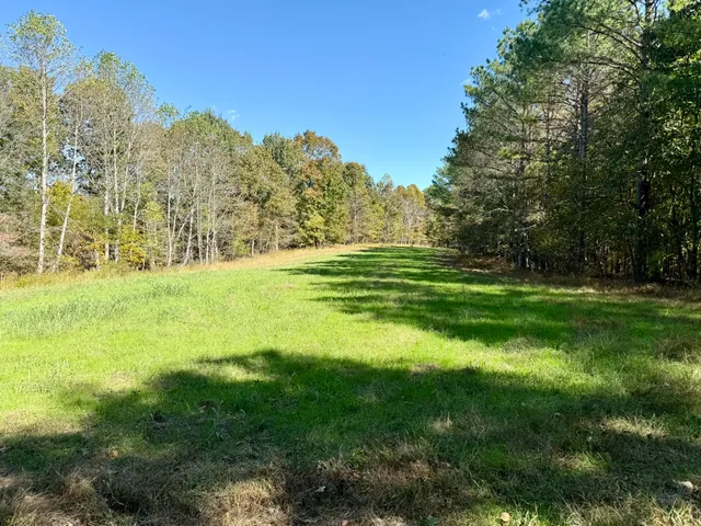 a house view with a swimming pool
