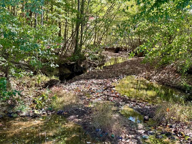 a view of a pathway of a wooden building