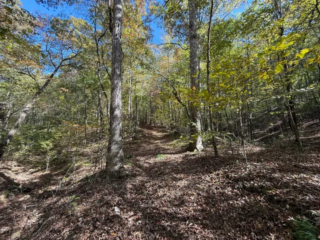 a view of outdoor space and green space