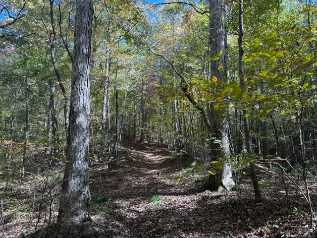 a view of a balcony with an outdoor space