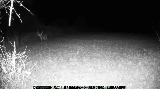 $1,315,000 | 0 Hughes Farm Road, Collinwood, TN 38450