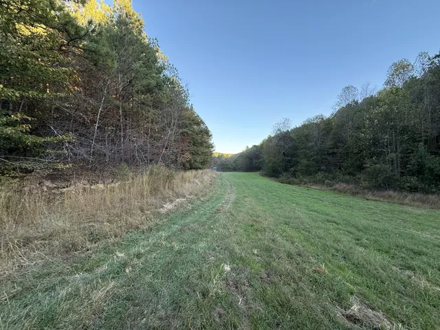 a view of a field with trees in the background