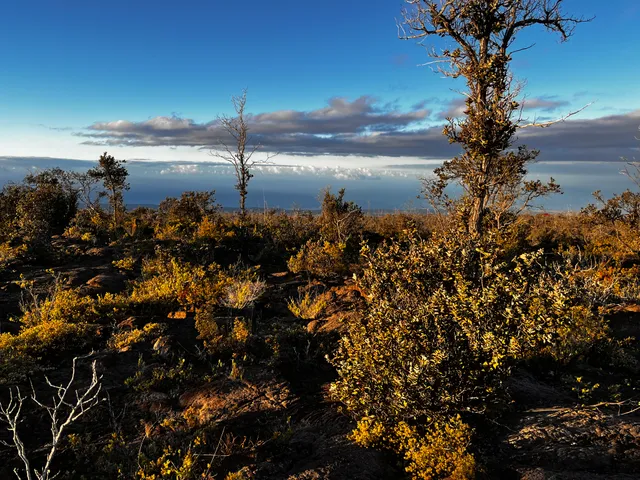 $14,000 | 92-8664 Lot 25 Pineapple Parkway, Ocean View, HI 96704