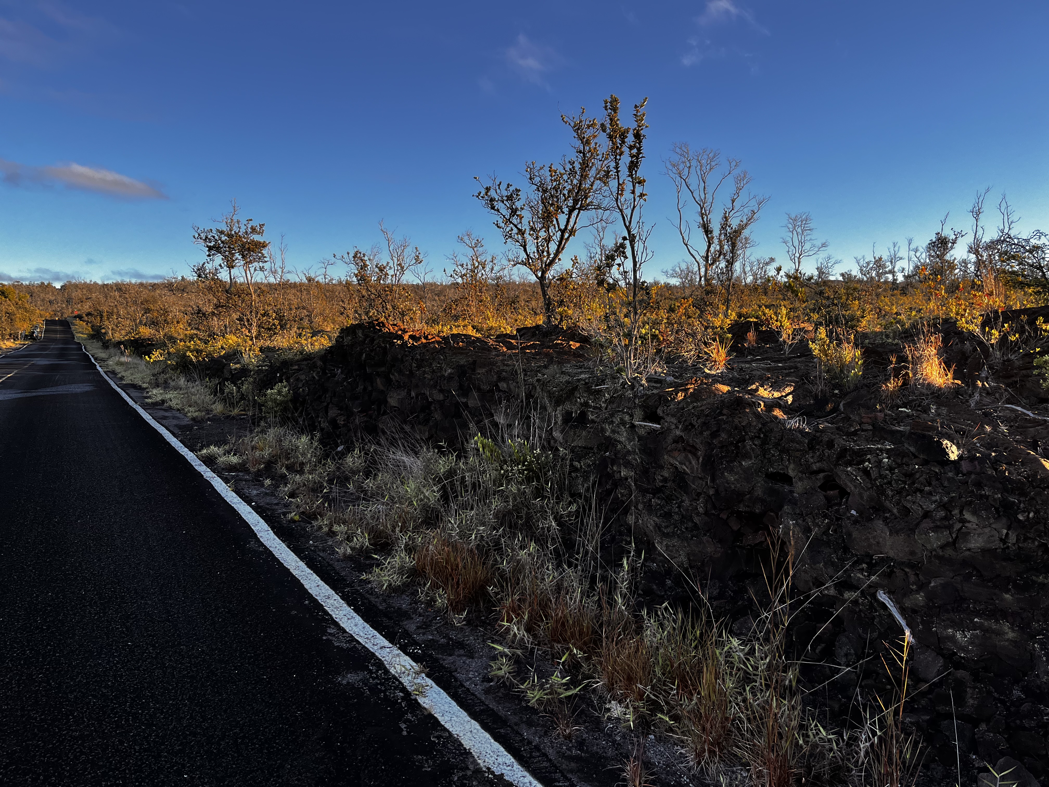 92-8664 Lot 25 Pineapple Parkway Ocean View, HI 96704 - Photo 11 of 12