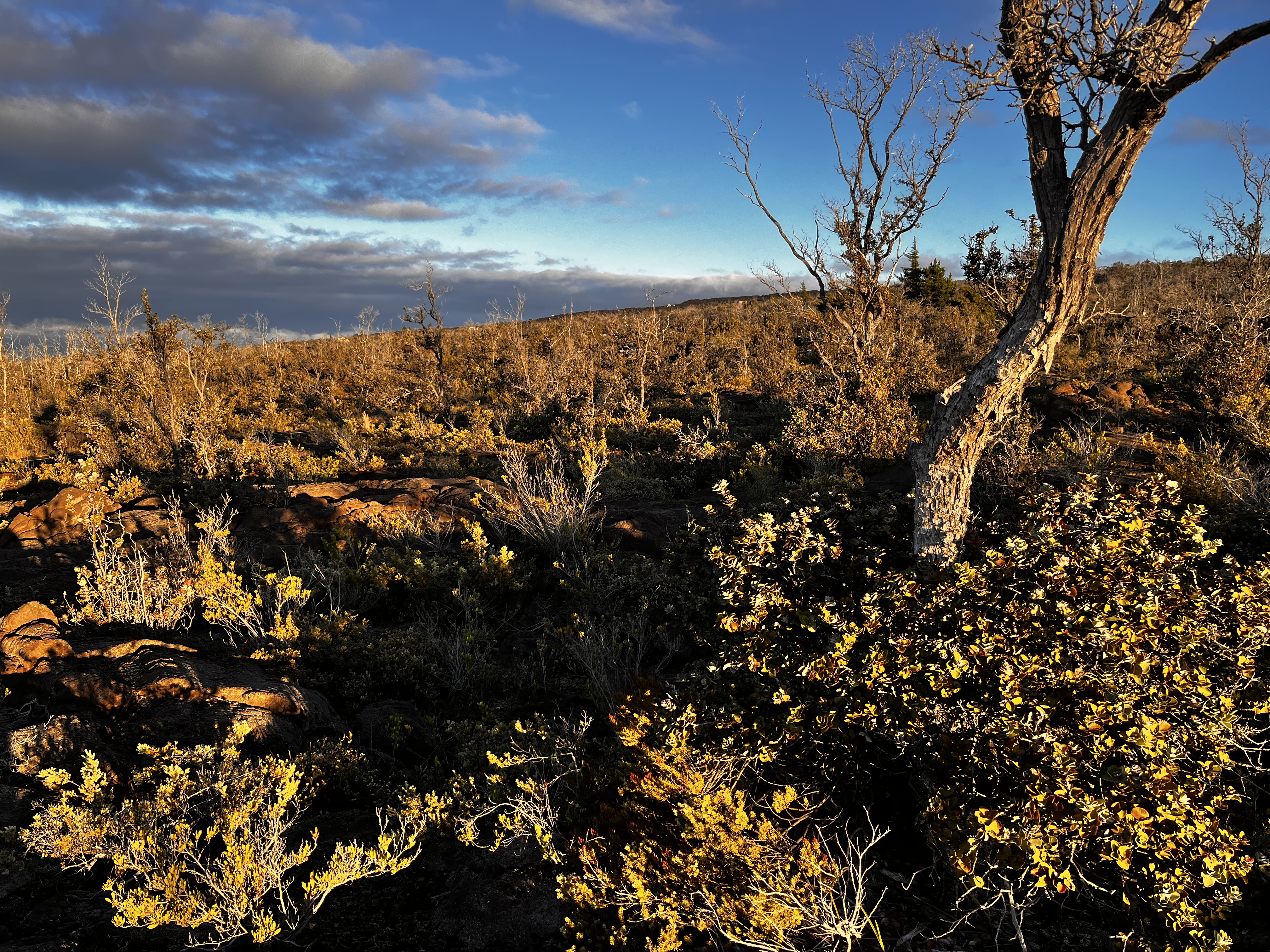 92-8664 Lot 25 Pineapple Parkway Ocean View, HI 96704 - Photo 2 of 12