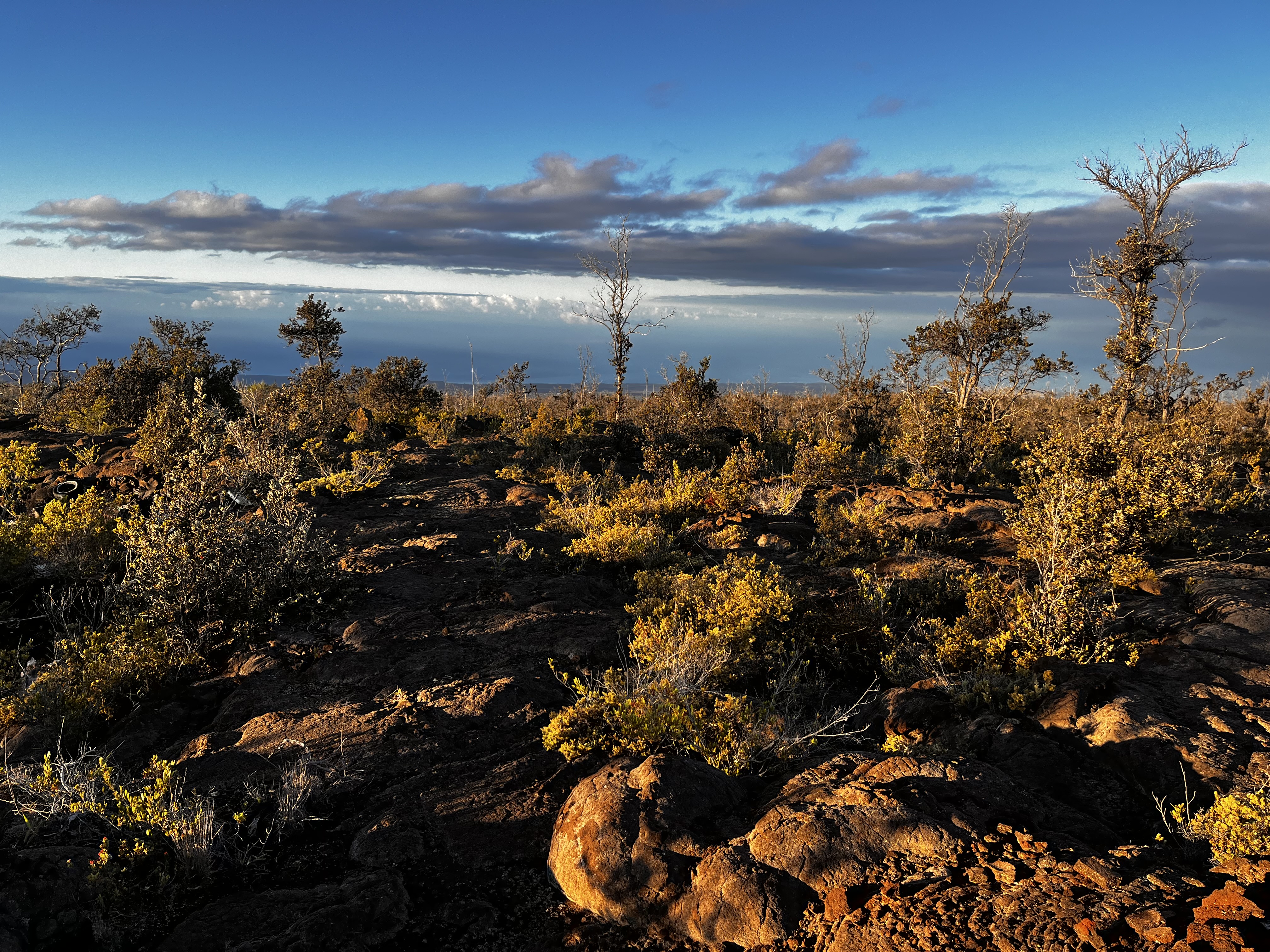 92-8664 Lot 25 Pineapple Parkway Ocean View, HI 96704 - Photo 3 of 12