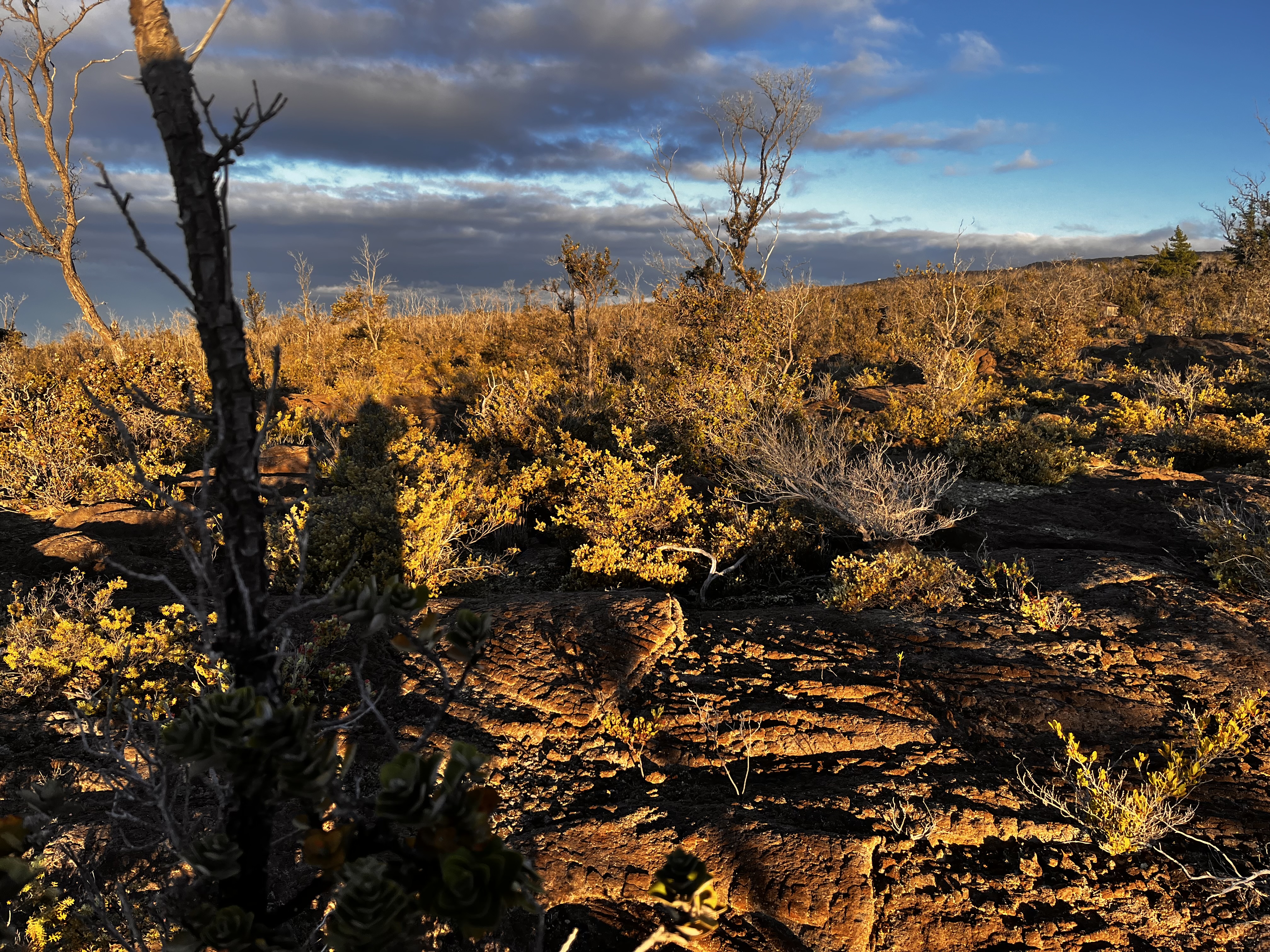 92-8664 Lot 25 Pineapple Parkway Ocean View, HI 96704 - Photo 4 of 12