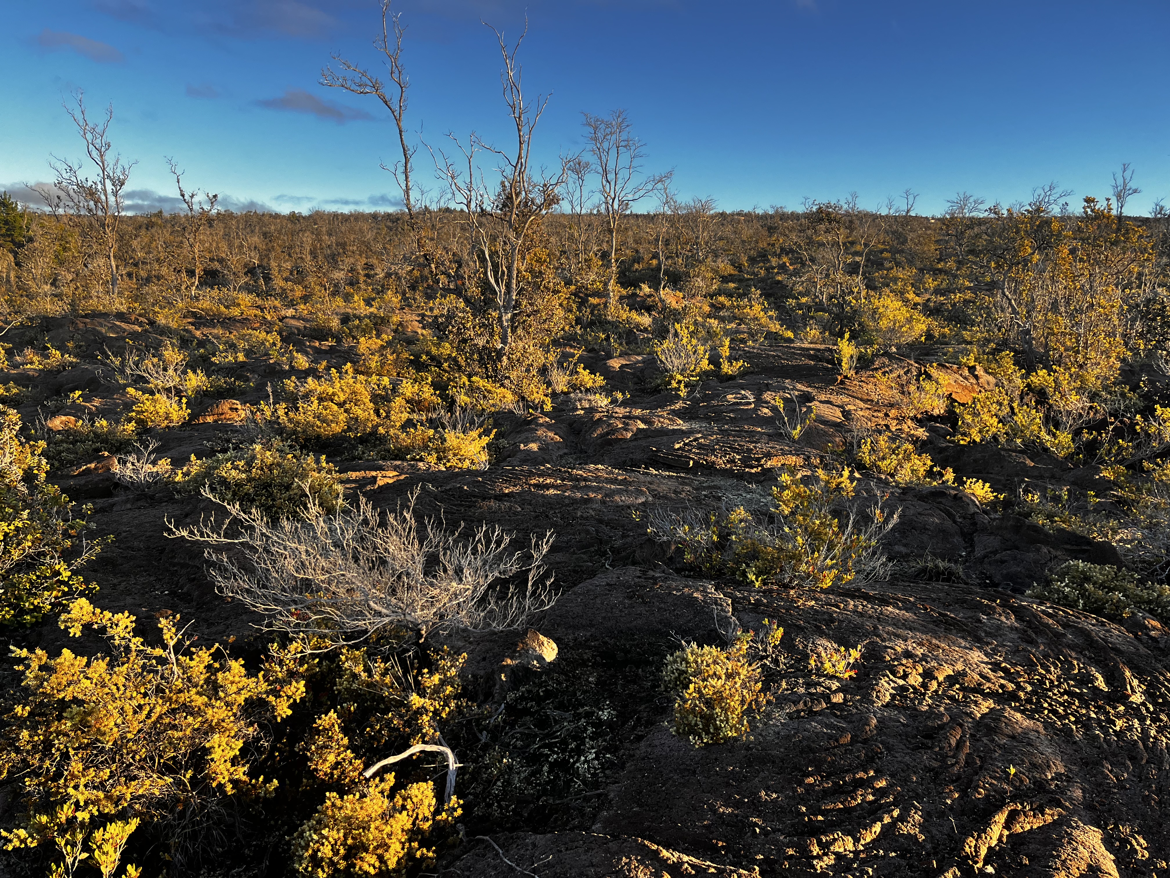 92-8664 Lot 25 Pineapple Parkway Ocean View, HI 96704 - Photo 5 of 12