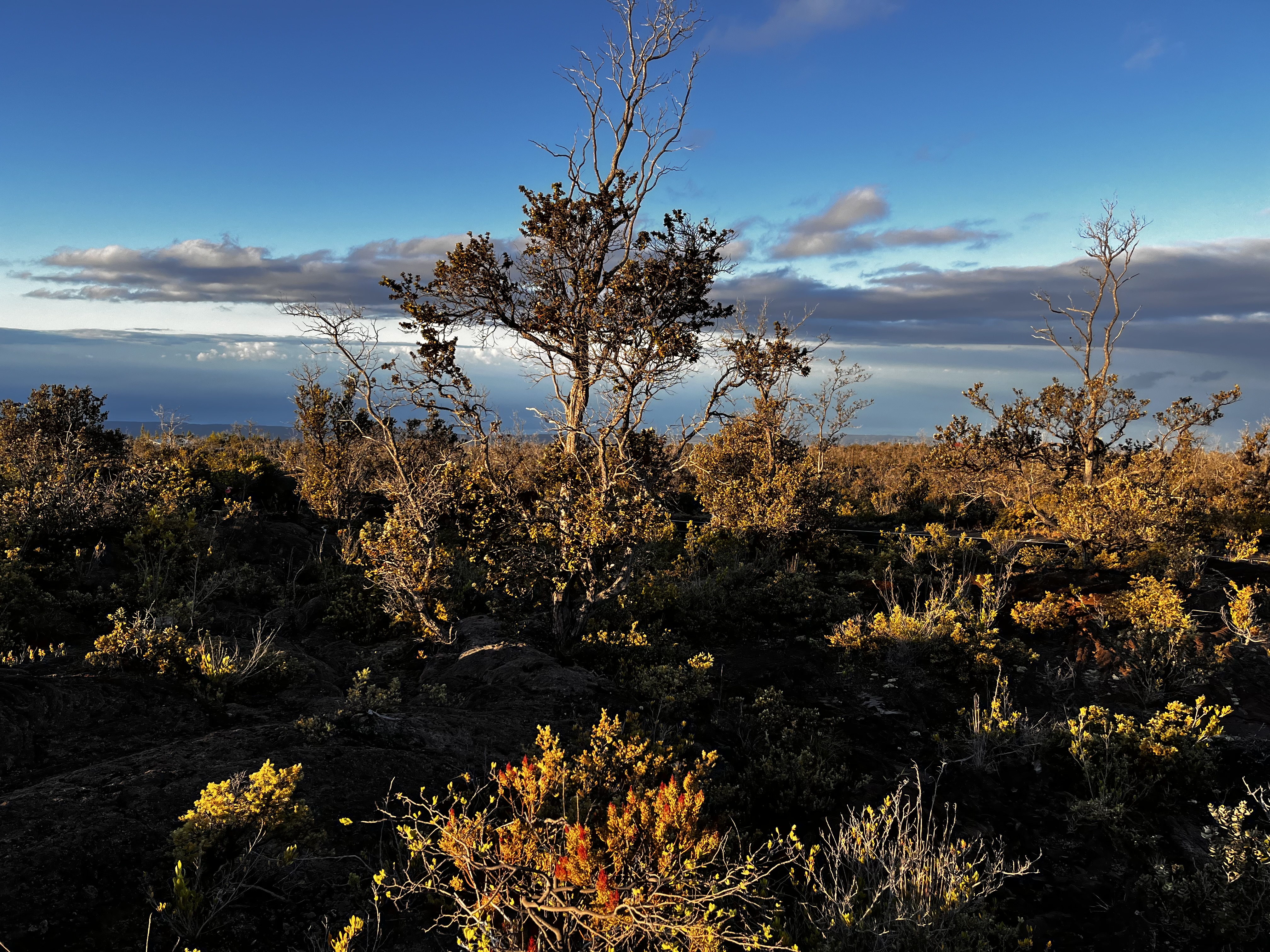 92-8664 Lot 25 Pineapple Parkway Ocean View, HI 96704 - Photo 6 of 12