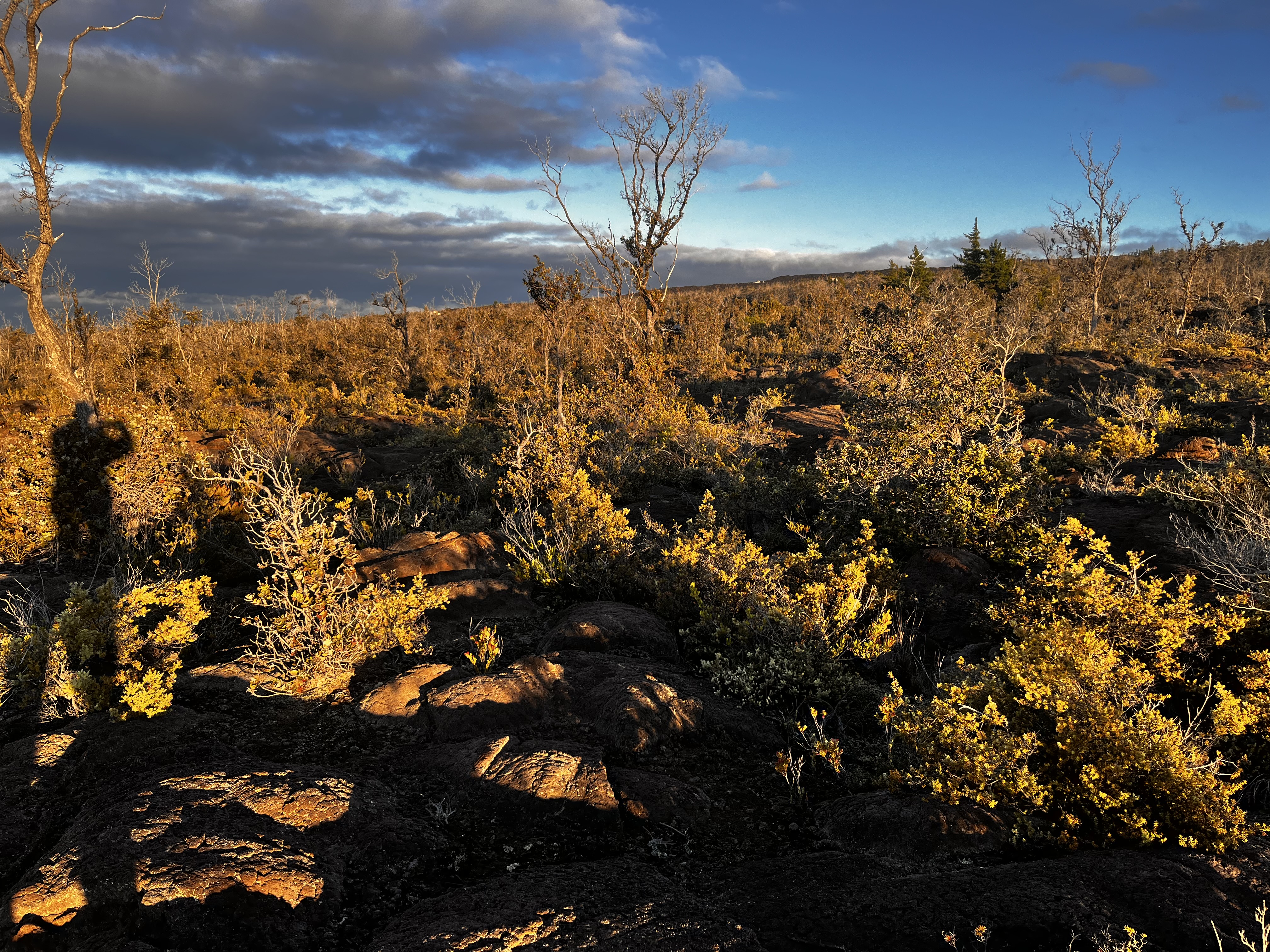 92-8664 Lot 25 Pineapple Parkway Ocean View, HI 96704 - Photo 7 of 12