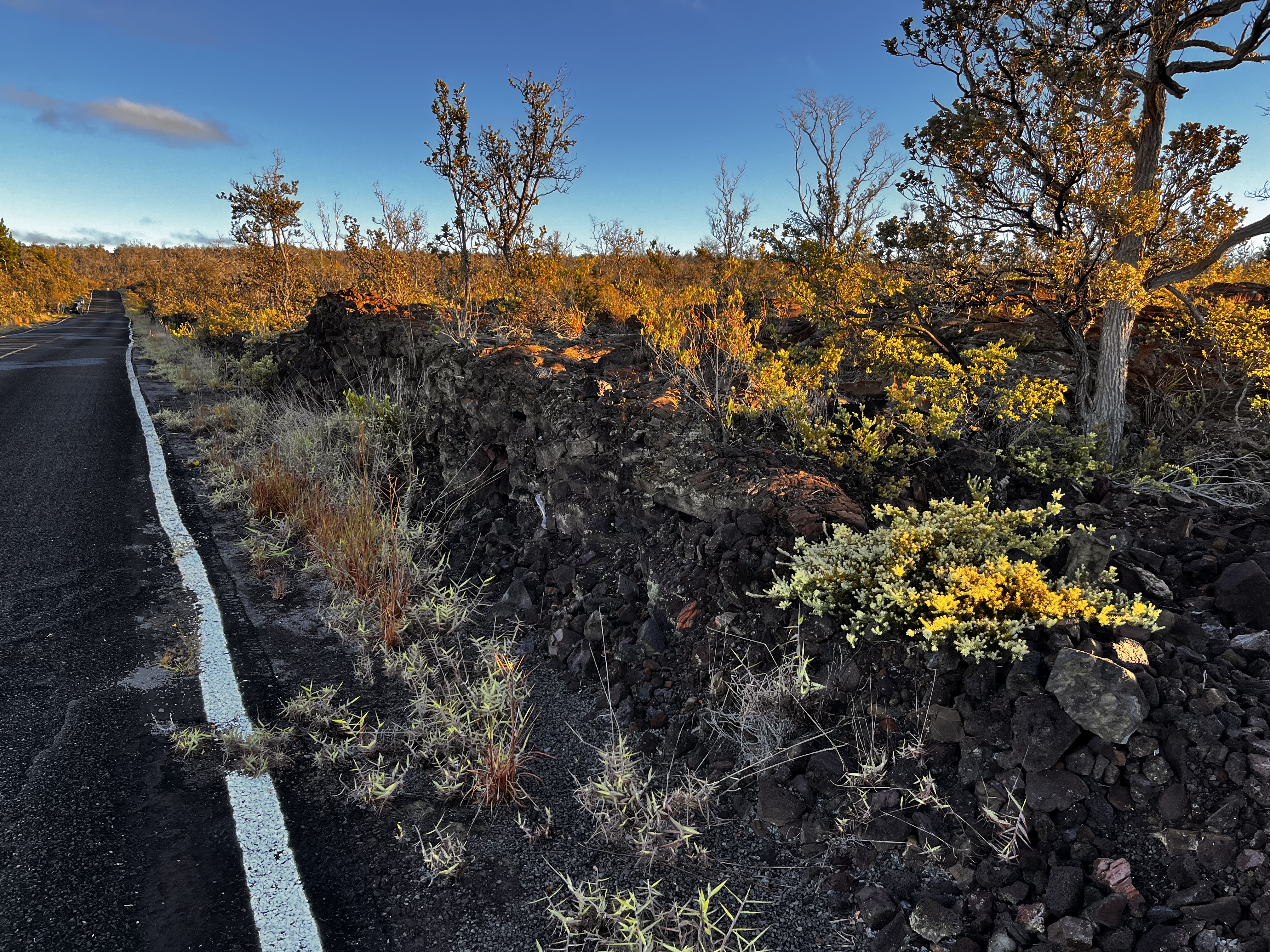 92-8664 Lot 25 Pineapple Parkway Ocean View, HI 96704 - Photo 8 of 12