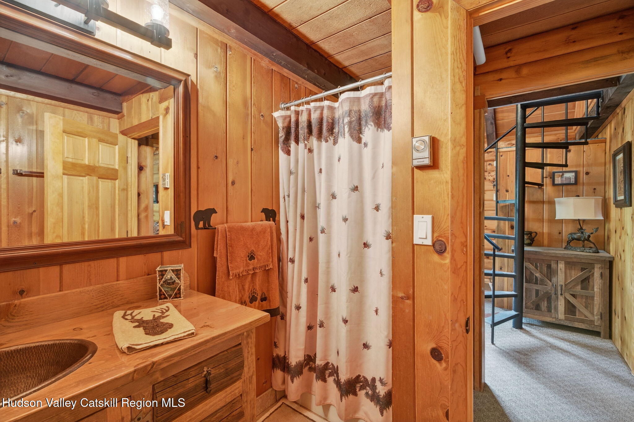 1063 Ferris Hill Road Roxbury, NY 12468 - Photo 39 of 61 44-web-or-mls-1063-ferris-hill-rd