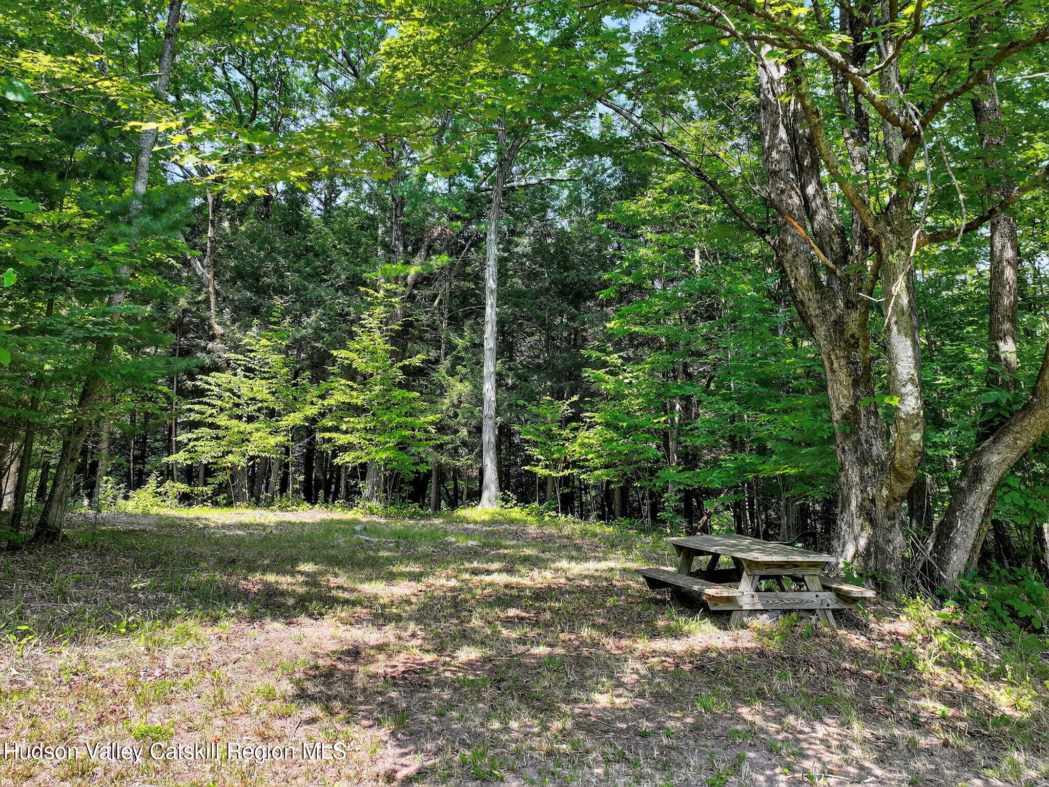 1063 Ferris Hill Road Roxbury, NY 12468 - Photo 47 of 61 54-web-or-mls-1063-ferris-hill-rd