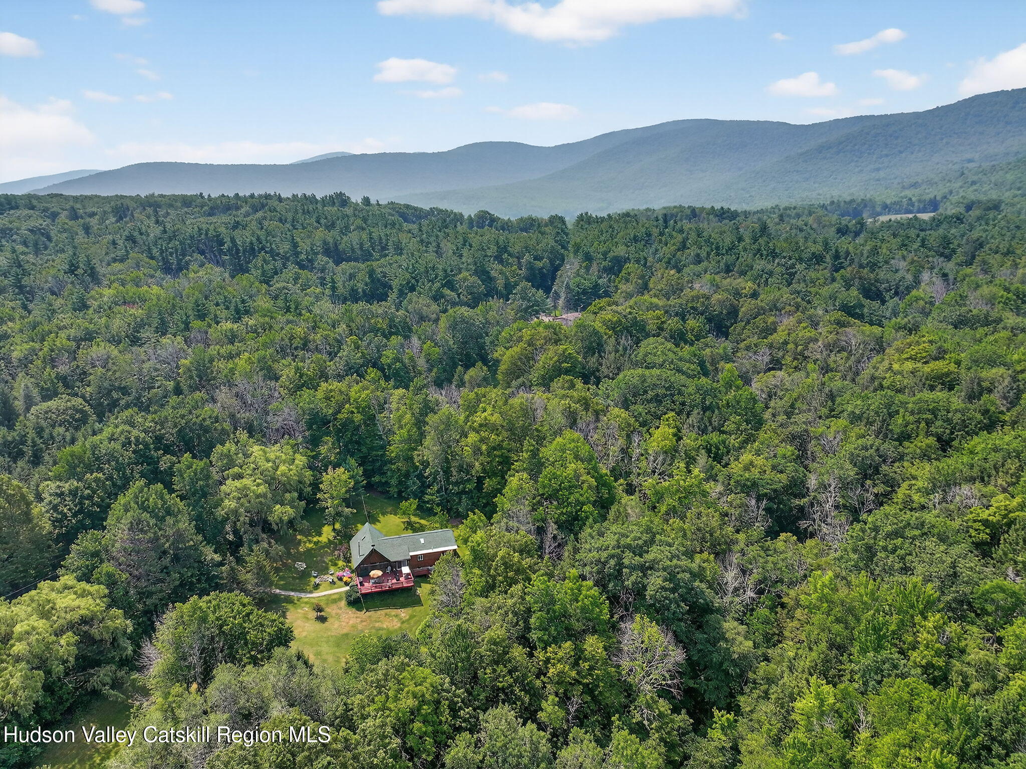 1063 Ferris Hill Road Roxbury, NY 12468 - Photo 50 of 61 58-web-or-mls-1063-ferris-hill-rd
