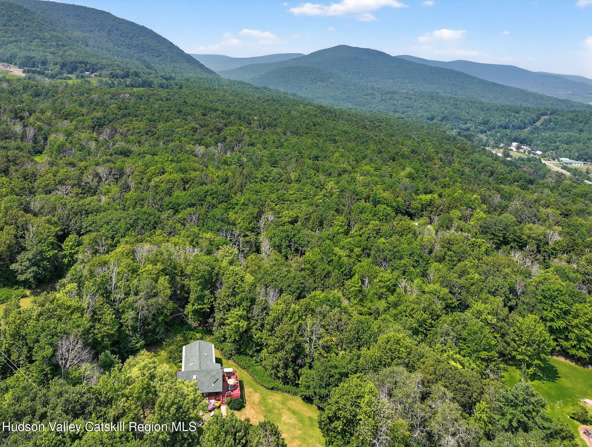 1063 Ferris Hill Road Roxbury, NY 12468 - Photo 51 of 61 59-web-or-mls-1063-ferris-hill-rd