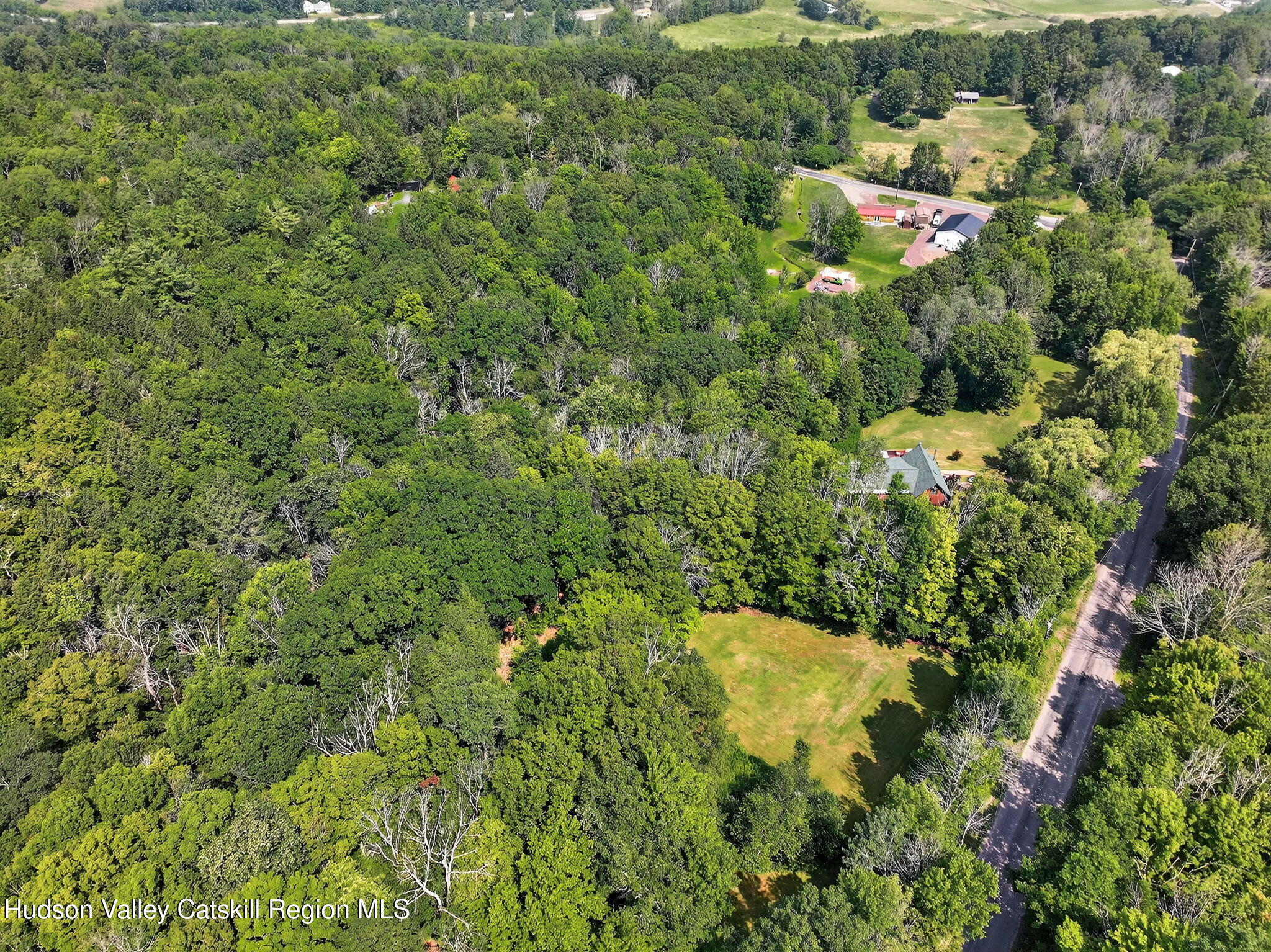 1063 Ferris Hill Road Roxbury, NY 12468 - Photo 53 of 61 61-web-or-mls-1063-ferris-hill-rd
