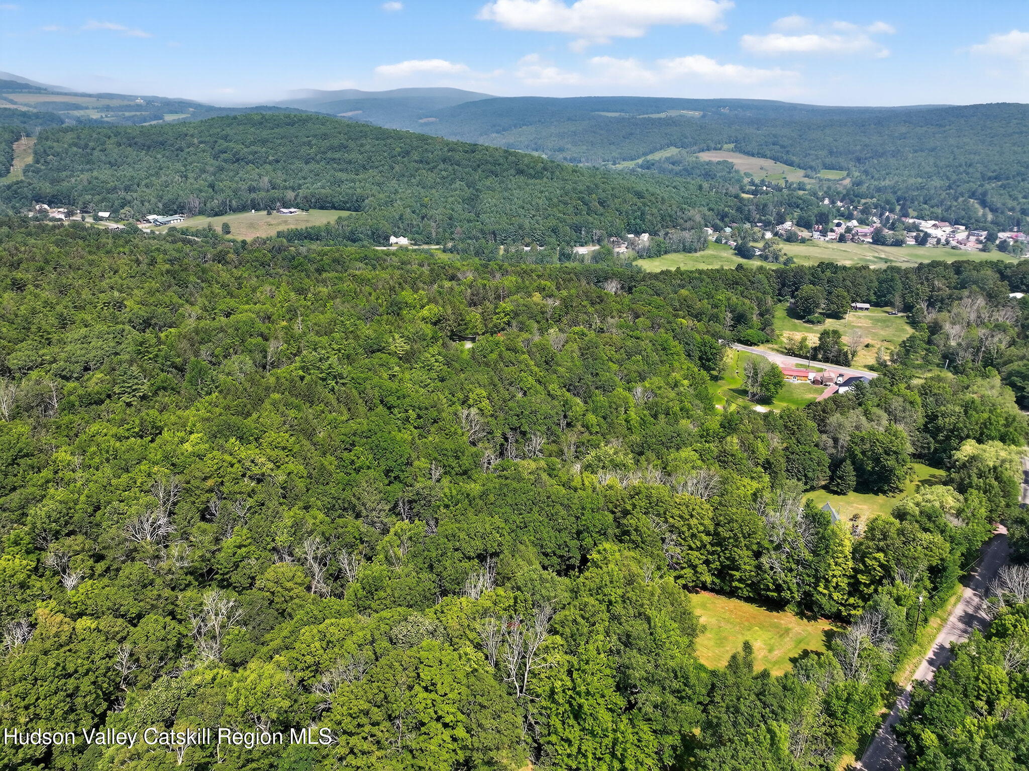 1063 Ferris Hill Road Roxbury, NY 12468 - Photo 54 of 61 62-web-or-mls-1063-ferris-hill-rd