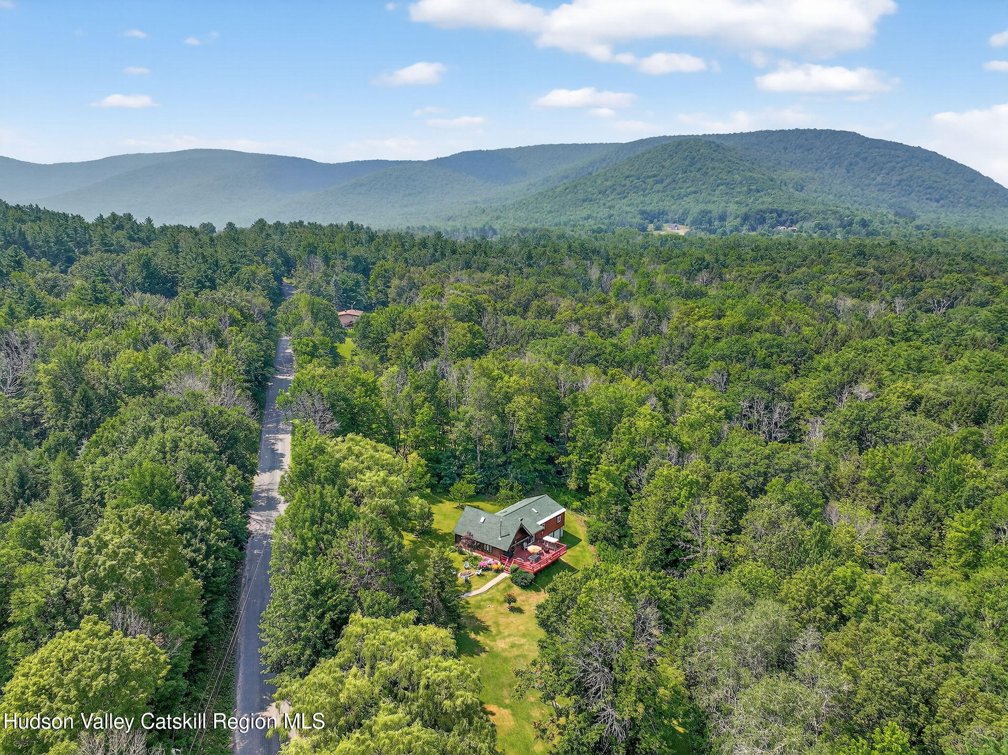 1063 Ferris Hill Road Roxbury, NY 12468 - Photo 55 of 61 64-web-or-mls-1063-ferris-hill-rd