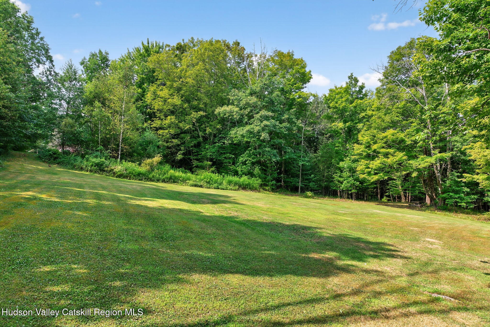 1063 Ferris Hill Road Roxbury, NY 12468 - Photo 56 of 61 65-web-or-mls-1063-ferris-hill-rd