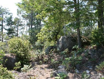 46568 Getchell Gulch Road Gualala, CA 95445 - Photo 4 of 8 Gallery Image 4