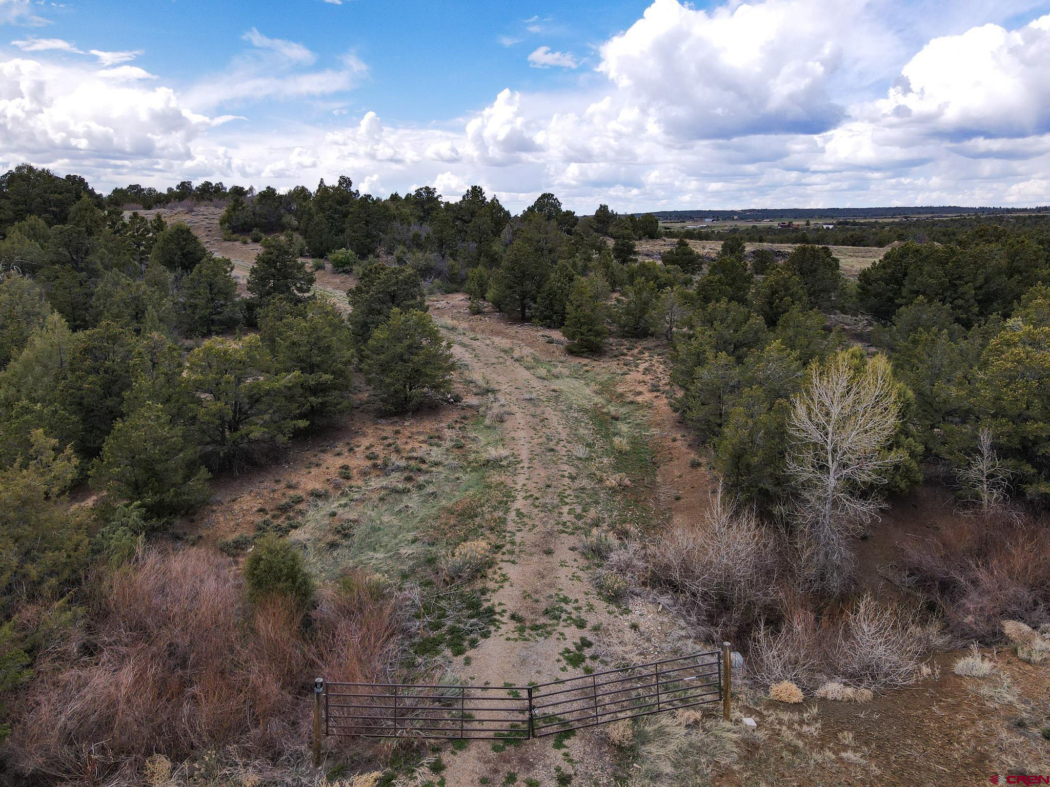 34495 Rd P.2 Mancos, CO 81328 - Photo 2 of 42 a view of a city with lush green forest