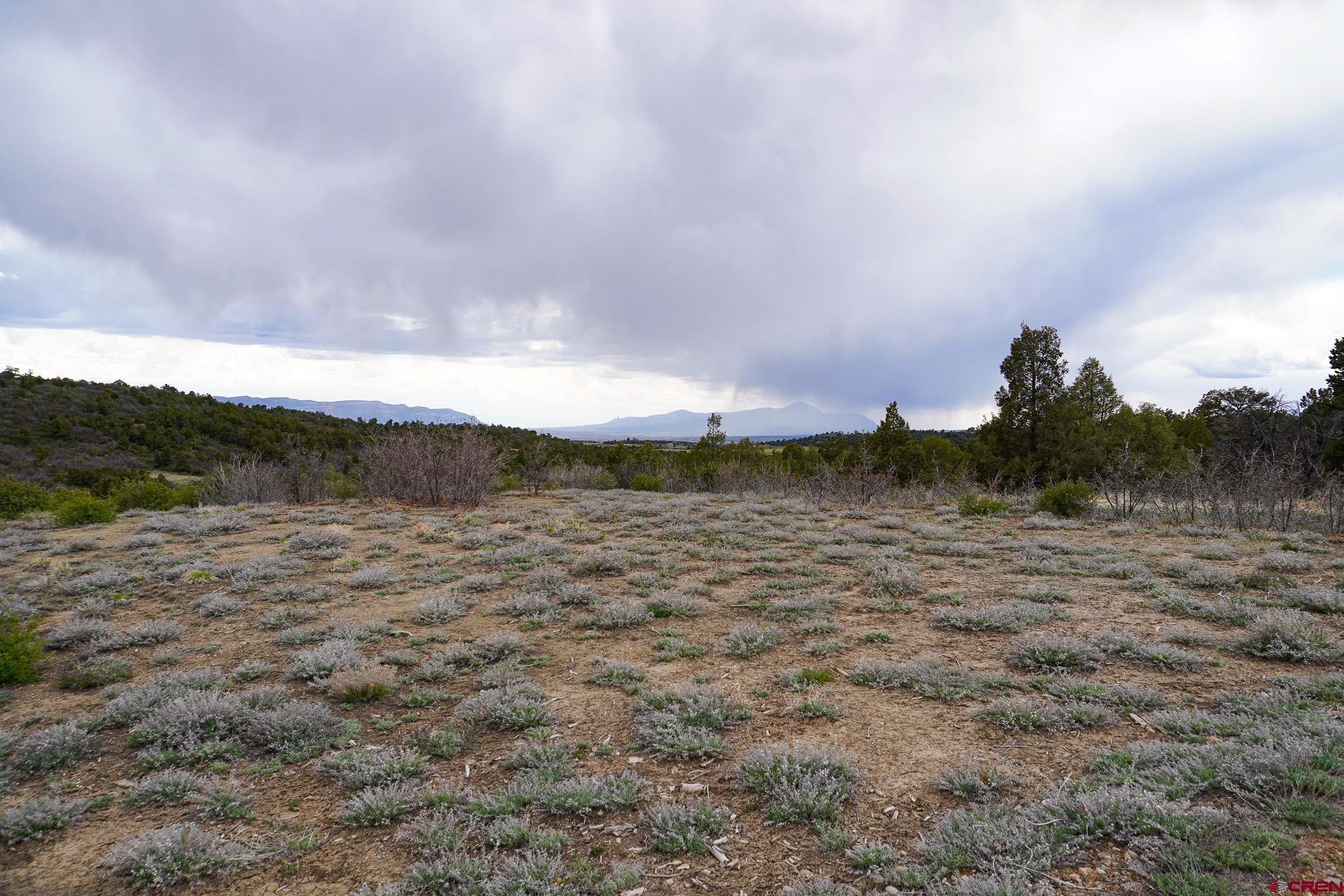 34495 Rd P.2 Mancos, CO 81328 - Photo 28 of 42 a view of an outdoor space and mountain view