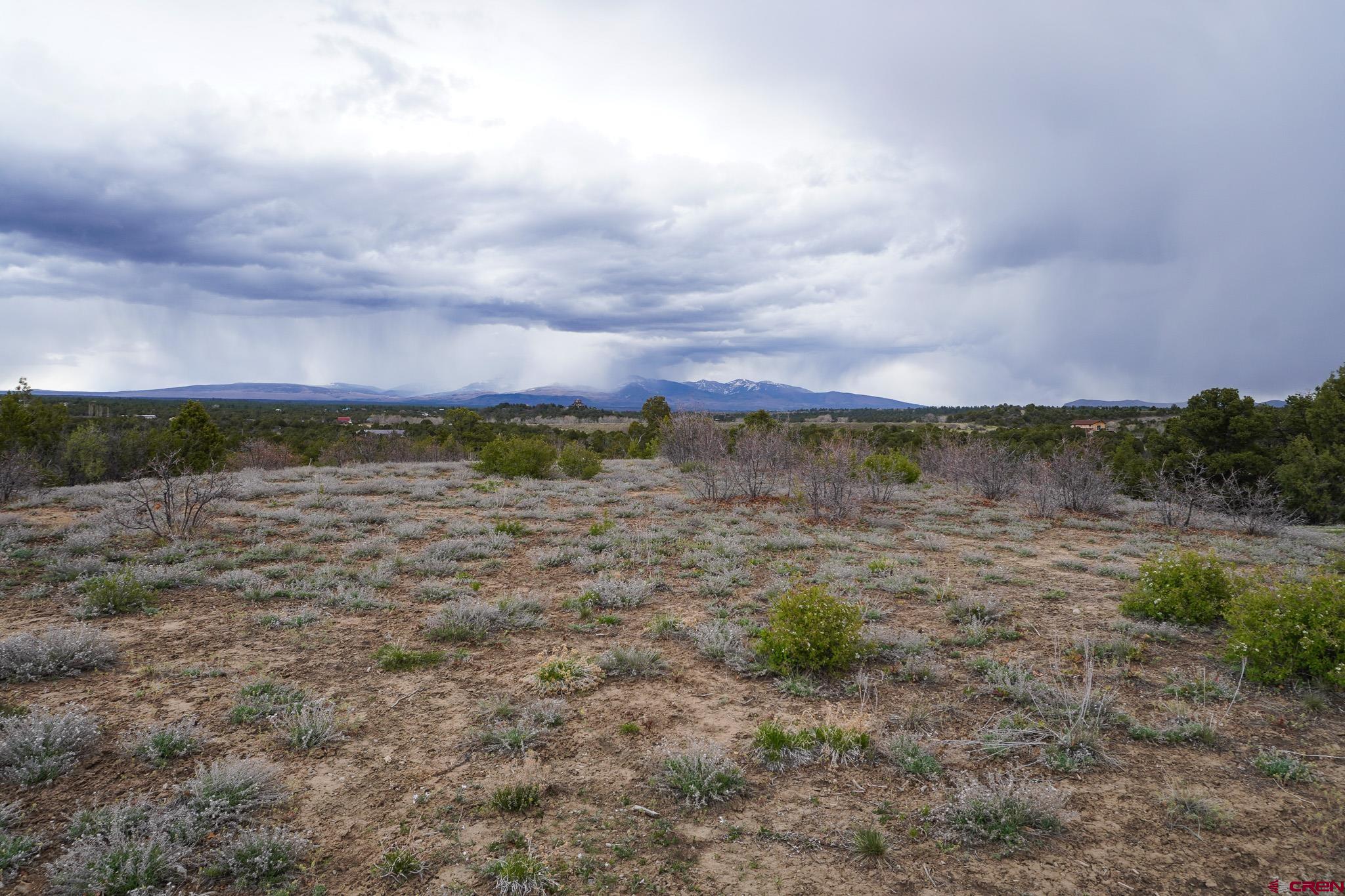 34495 Rd P.2 Mancos, CO 81328 - Photo 30 of 42 a view of a field with trees in background