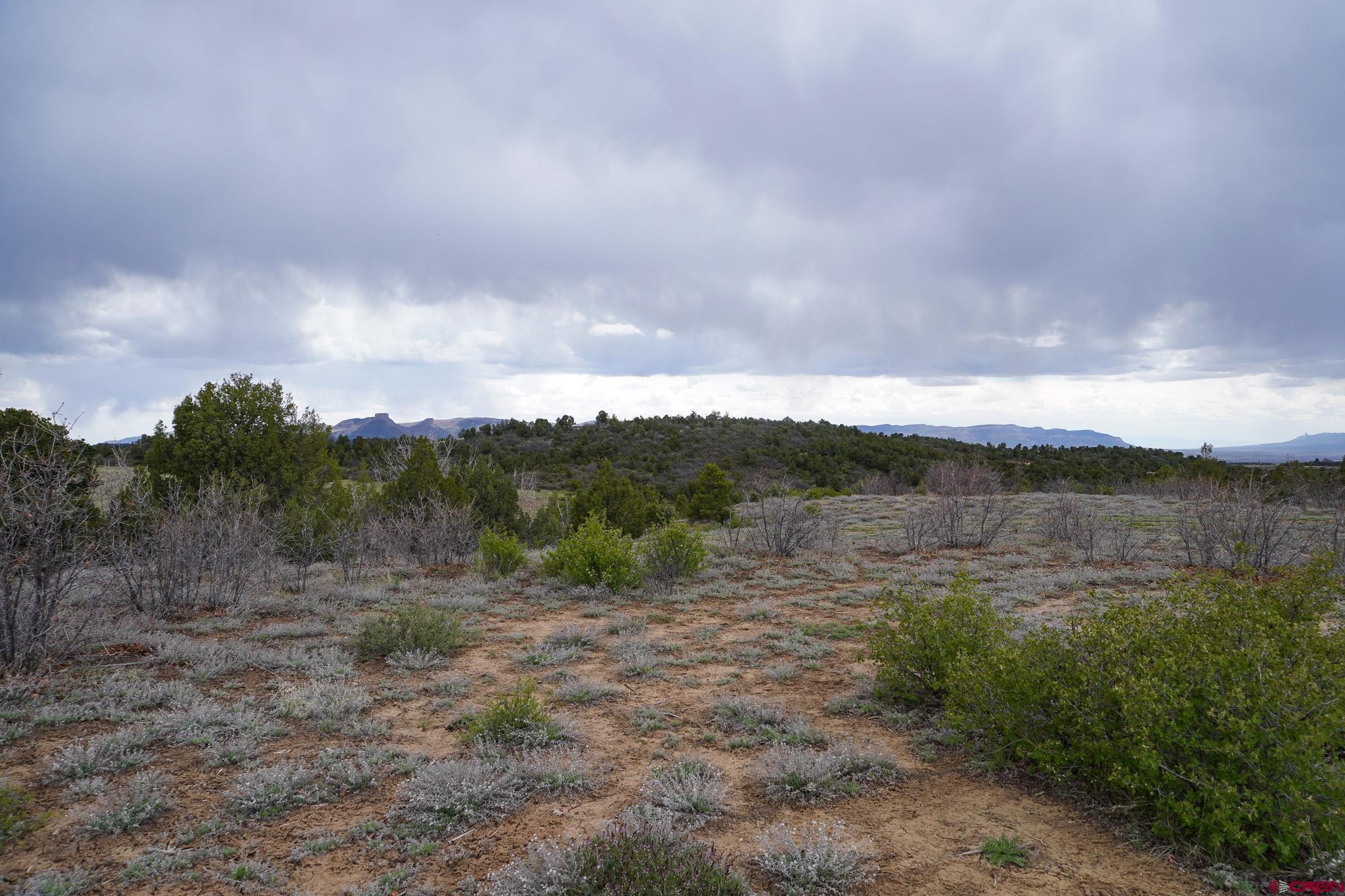 34495 Rd P.2 Mancos, CO 81328 - Photo 31 of 42 a view of mountain with lake view