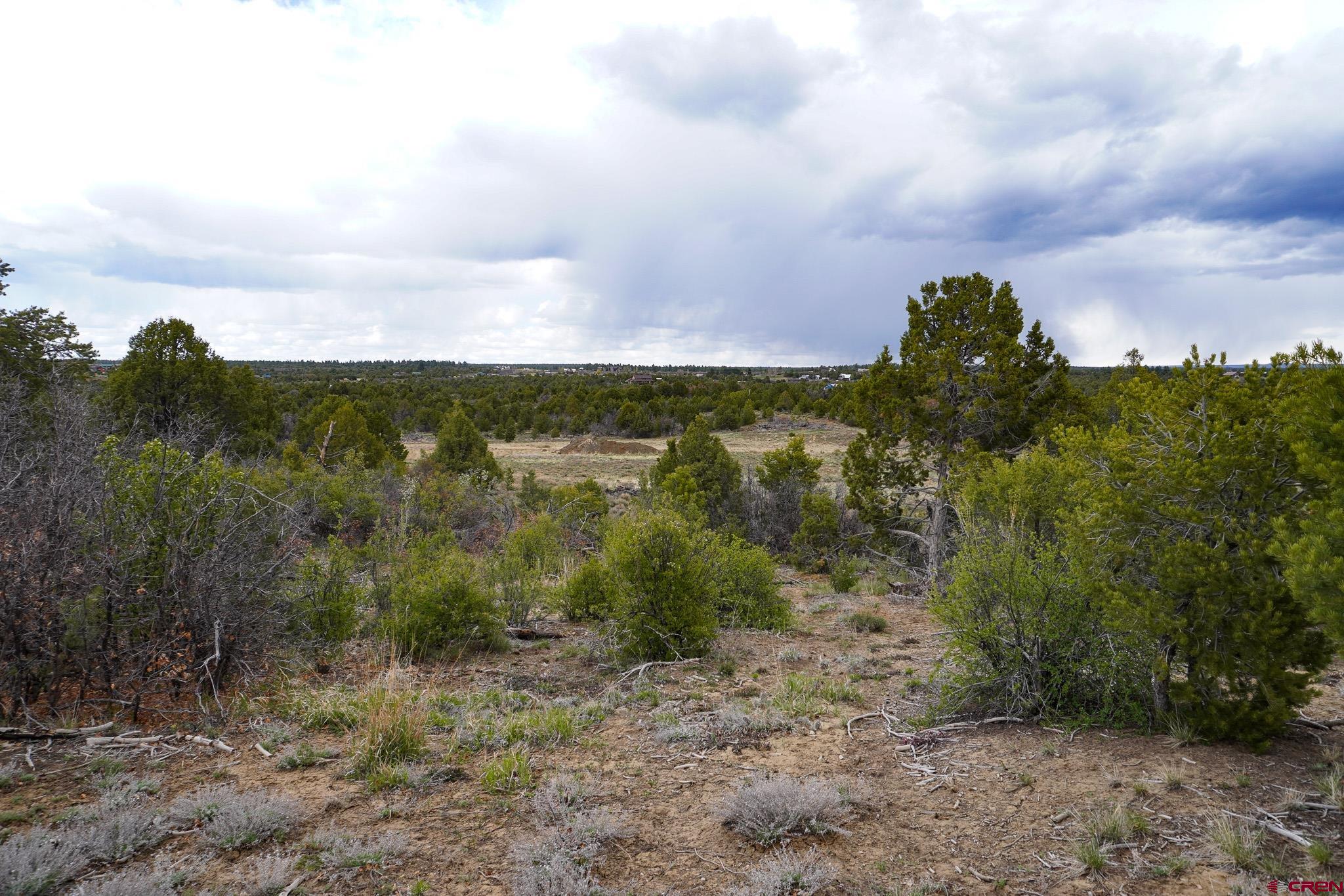 34495 Rd P.2 Mancos, CO 81328 - Photo 32 of 42 a view of a yard with a house