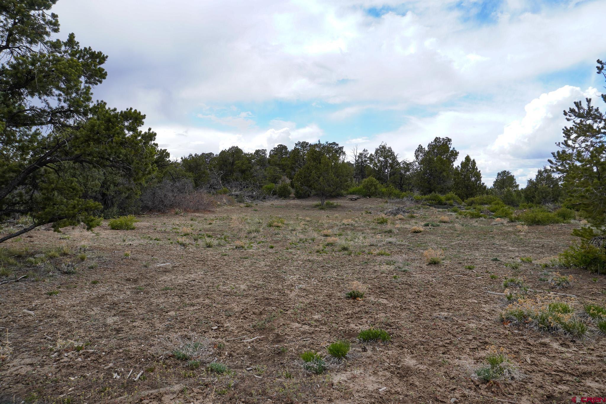 34495 Rd P.2 Mancos, CO 81328 - Photo 33 of 42 a view of a field with trees in background