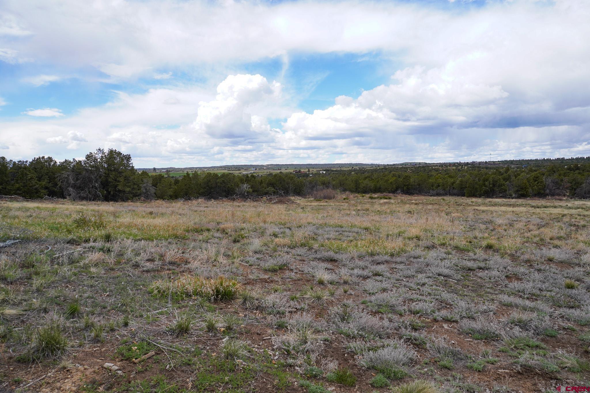 34495 Rd P.2 Mancos, CO 81328 - Photo 36 of 42 a view of a lake from a yard