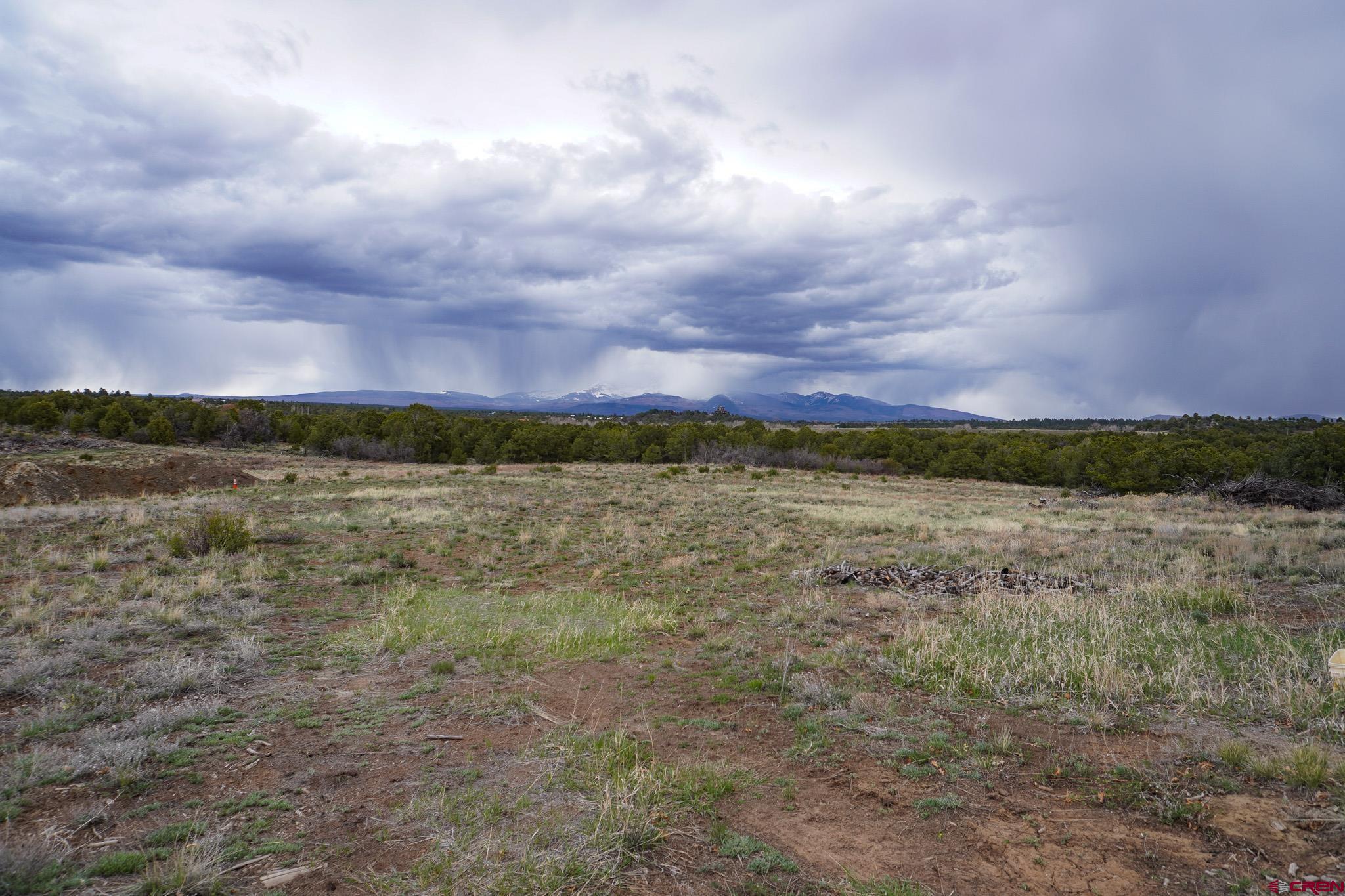 34495 Rd P.2 Mancos, CO 81328 - Photo 37 of 42